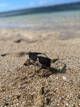 Load image into Gallery viewer, BB-Sunglasses
